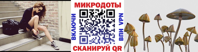 наркота  мориарти клад  Псилоцибиновые грибы Psilocybine cubensis  Барыш 