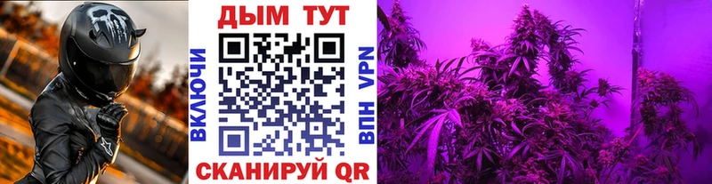 Каннабис Amnesia  Барыш 